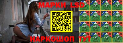 гидропоника Будённовск