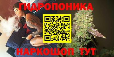 стаф Пугачёв