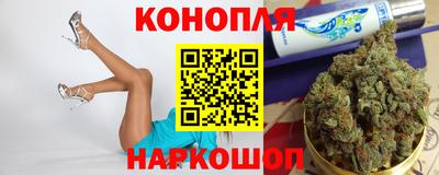 гидропоника Будённовск