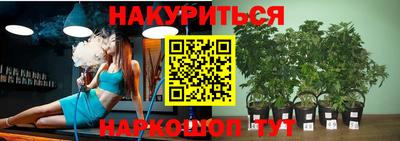 гидропоника Будённовск