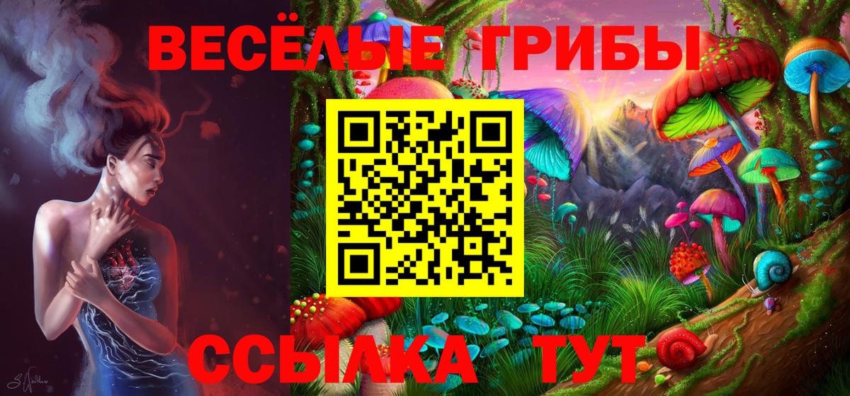 Галлюциногенные грибы Psilocybe  Галлюциногенные грибы Psilocybine cubensis  Сосновый Бор  Вход с VPN 